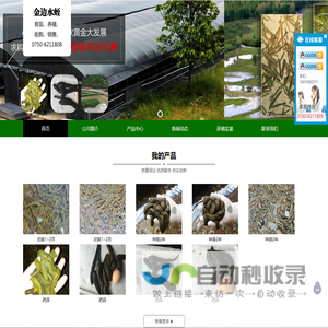 菲牛蛭_宽体金线蛭_江门市金边生物科技